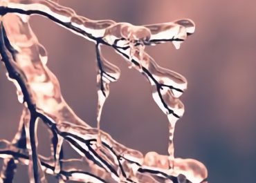 Det haptiske system og trauma