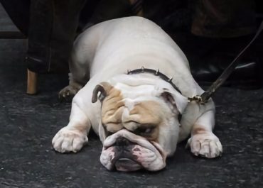 Living in the moment