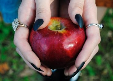 To be brought back to life again