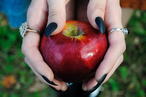 To be brought back to life again