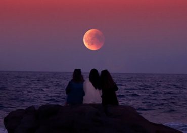 Hele mennesker hos Tetra Pak